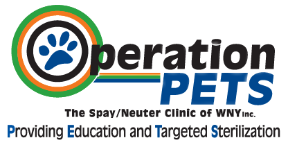 the affordable spay neuter clinic
