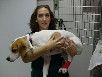 Operation Pets Spay Neuter Clinic