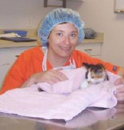Operation Pets Spay Neuter Clinic