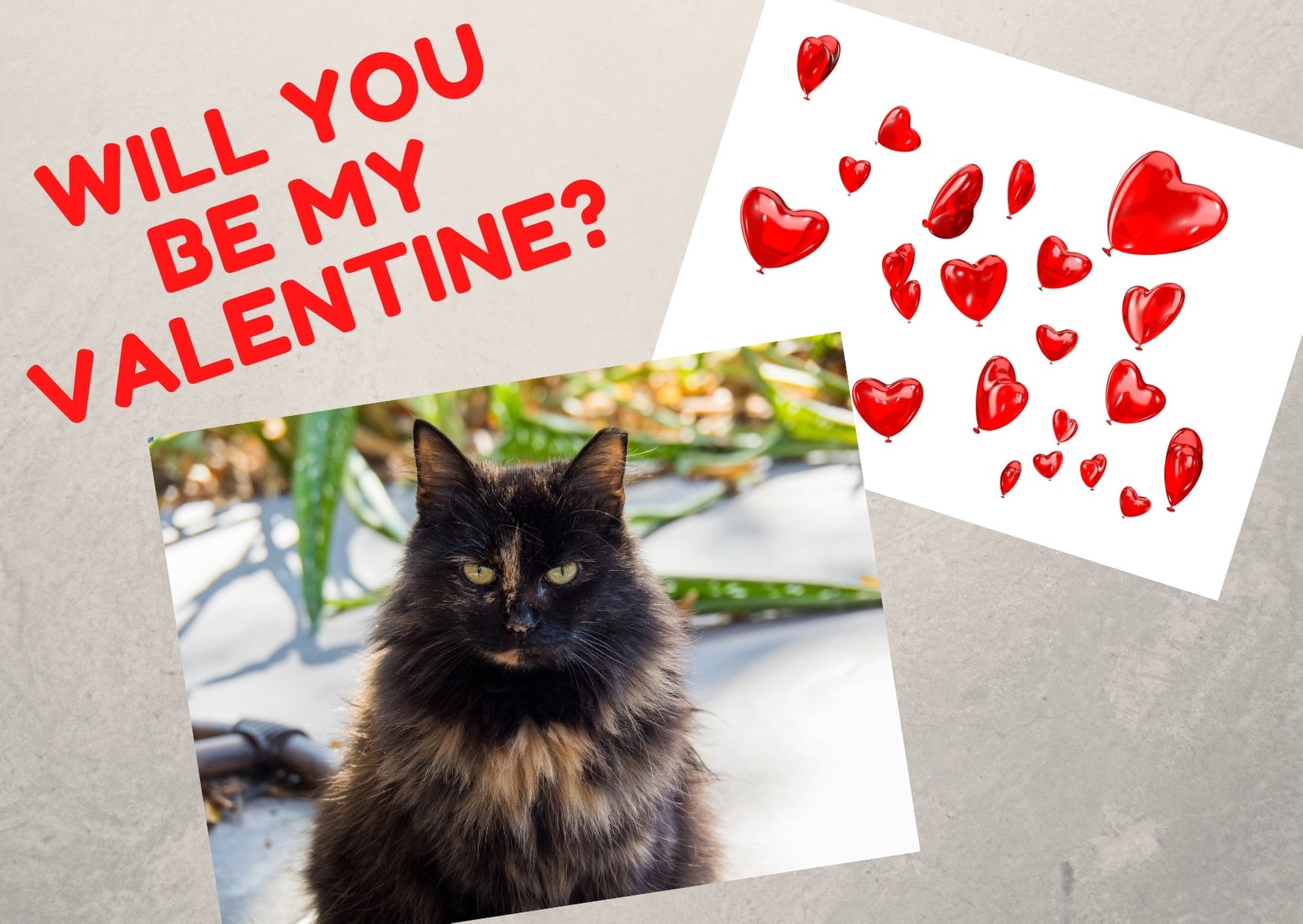 Cream with Cat and Heart Vectors Valentine's Day Card Help Spay/Neuter a Feral Cat