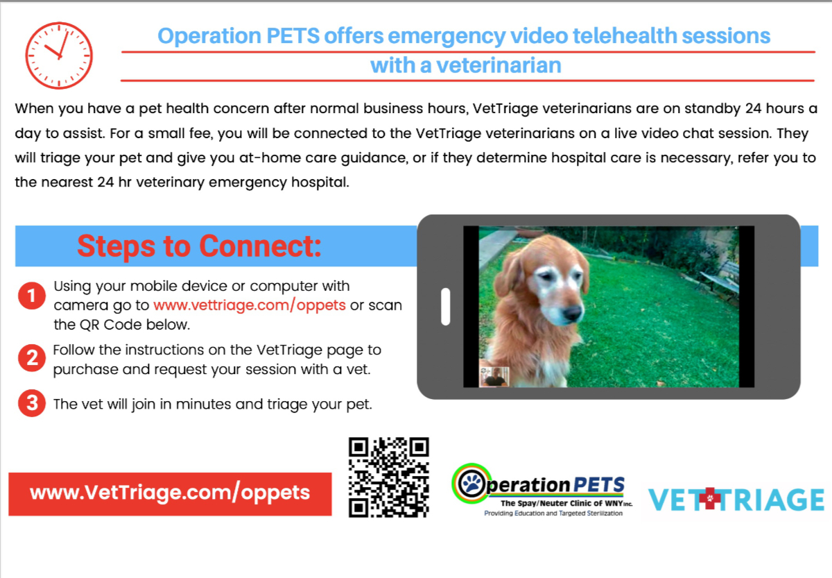VetTriage Flyer - Operation Pets